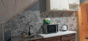 a kitchen with a sink and a microwave at Home comfort in Verkhovyna +4 photos