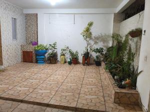 a room with a bunch of potted plants at Casa Avance RH Aconchego in Camaçari