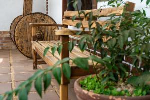 a wooden bench sitting next to a potted plant at Hotel El Baquiano in Tamarindo