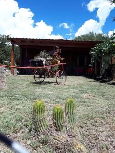 a horse drawn carriage in front of a house at Cabaña Catelmo in Colalao del Valle
