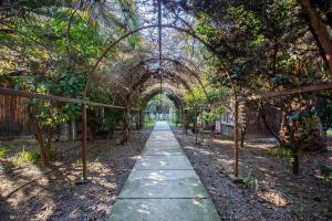 Zahrada ubytování Lodge Los Naranjos de Mallarauco