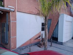 un palmier devant un bâtiment dans l'établissement Loft, à La Rioja