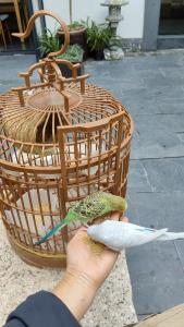 a person holding a green and blue bird in their hand at Huiyuan Mansion Guangzhou in Guangzhou