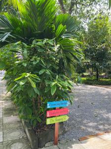 Foto dalla galleria di Ánh Dương Motel a Ấp Bàu Lồng