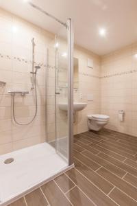 W łazience znajduje się prysznic, umywalka i toaleta. w obiekcie Gasthaus am Brunnen w mieście Illerich