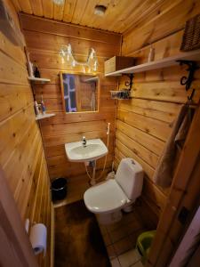 Un baño pequeño con inodoro y lavabo. en Pyhä Aava, en Pyhätunturi 7 fotos más