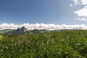 Paesaggio naturale nelle vicinanze dell'hotel