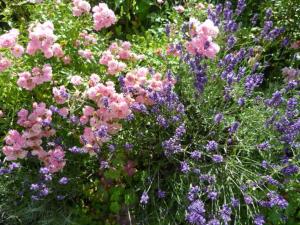 Billede fra billedgalleriet på Gästehaus Rosengarten im Nahetal i Kirn + 94 billeder