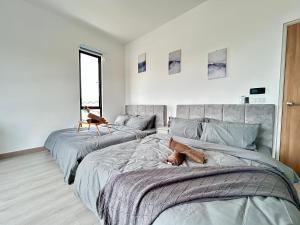 sypialnia z dwoma łóżkami z psem na nich w obiekcie Corner House BBR fit 1-14 Pax near Setia Alam SCCC w mieście Kelang