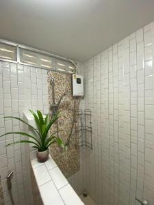 een badkamer met een potplant op een aanrecht bij Khun Cham-nan Herb Garden House in Phichai
