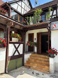 a house with potted plants on the front door at Kalon - La Bonne Étoile in Kogenheim