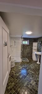 a bathroom with a shower and a toilet and a sink at Ferienhaus Sauerbléck in Steinheim