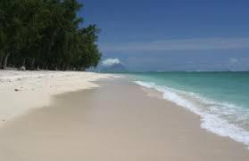 una spiaggia bianca con alberi e acqua di Son House Studio a Flic-en-Flac