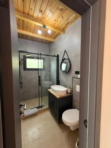 a bathroom with a toilet and a sink and a shower at Zen Resort and Winery in Slănic