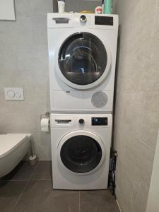 SaxonにあるAppartement Saxonのトイレの隣のバスルームに洗濯機が備わります。