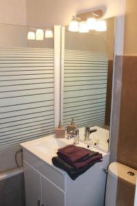 un baño con lavabo y espejo en Studio des Halles, en Aviñón 26 fotos más