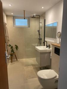 a bathroom with a toilet and a sink and a shower at Sehr schöne neu renovierte Ferienwohnung Spechthöhle in Wehrheim +19 photos