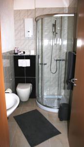La salle de bains est pourvue d'une douche, de toilettes et d'un lavabo. dans l'établissement Apartment Kraemer Dax, à Mehren