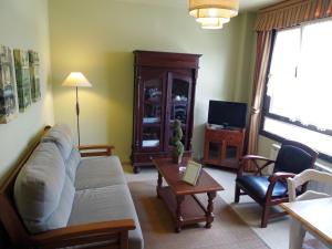 a living room with a couch and a tv at Apartamentos la Marina in Ribadesella