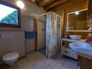 ein Badezimmer mit Toilette, Waschbecken und Dusche in der Unterkunft Chalet spacieux près de Gérardmer avec terrasse, verger et activités montagne - FR-1-589-121 in Le Tholy + 26 Fotos