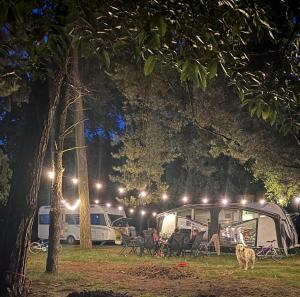 Un grupo de mesas y sillas en un parque por la noche. en Moin Camp, en Ottersberg