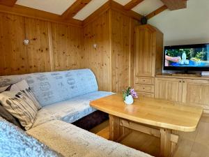 a living room with a couch and a table and a tv at Ferienwohnung Oberstallberg in Bramberg am Wildkogel