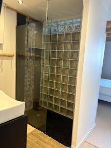 a shower with glass panels in a bathroom at Chalet Belleville in Béranger