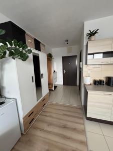 a kitchen with white cabinets and a potted plant at Apartmán ORION in Dubnica nad Váhom