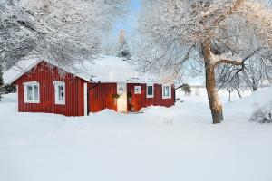 a red building in the snow with a tree at Seaside villa Swedish Lapland Luleå in Luleå