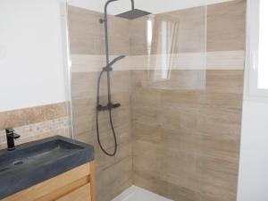 a bathroom with a shower with a sink at Studio à la campagne in Aubignan