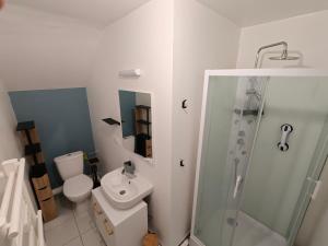 un bagno con un lavandino e una doccia di Maison familiale proche Zoo a Châteauvieux Altre 7 foto