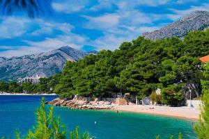 a beach with trees and blue water and mountains at Apartments Zamicka in Brela