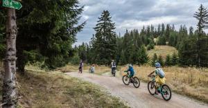 un gruppo di persone che vanno in bicicletta lungo una strada sterrata di Chamkoria Forest View & Spa Apartment a Borovets