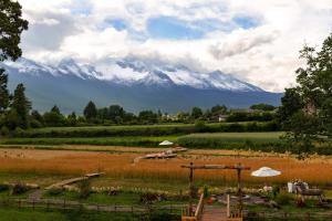 Příroda nedaleko hotelu
