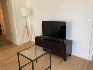 a black entertainment center with a flat screen tv on it at Ferienwohnungen Rosengarten in Mommenheim