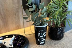 a table with a vase with a plant and a keyboard at Franschhoek Homestead Manor House in Franschhoek +32 photos