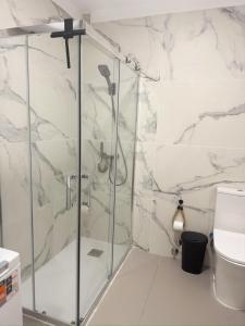 a bathroom with a shower and a toilet at Estudio céntrico La Marina in Puerto de la Cruz +11 photos