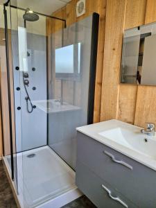 a bathroom with a sink and a shower at Les Grands Riez - logement à la campagne in Guny