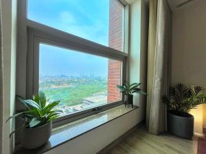 uma janela com dois vasos de plantas num quarto em Golden glow in aipl joystreet em Gurgaon