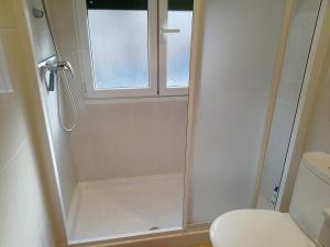 a bathroom with a shower and a toilet at Enlace kosta in Mendaro