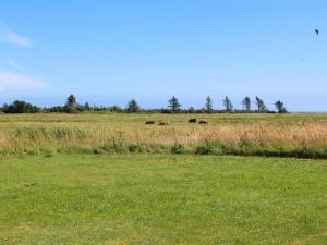 two cows grazing in a field of grass at Holiday Home Calina - 300m from the sea by Interhome in Sæby
