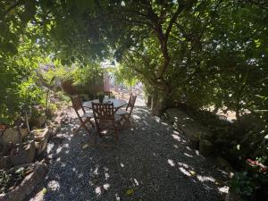 a table and chairs sitting under a tree at Corte Grande in Zebras