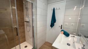 un bagno con doccia e lavandino di Le Cheverny - 2 min du centre ville a Bonneville