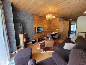 a living room with a couch and a fireplace at ALPIN 7 Jasná - Free Jacuzzi & Sauna in Demanovska Dolina