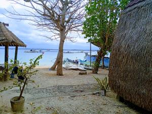 Ảnh trong thư viện ảnh của Sunset Cabanas Stay Beachfront & Snorkel 