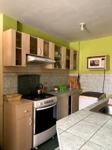 Η κουζίνα ή μικρή κουζίνα στο Acogedor y tranquilo departamento