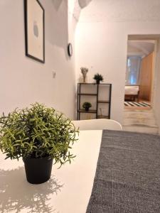 a potted plant sitting on a table in a room at Walter Apartment City Center in Ljubljana