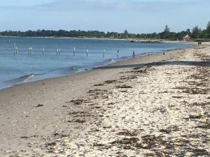 a sandy beach with a fence in the water at Holiday Home Rikus - 300m from the sea by Interhome in Odder