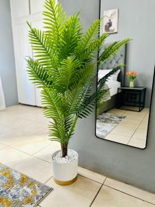 Foto sihtkohas Polokwane asuva majutusasutuse SerenityStay 37 on Zebra galeriist