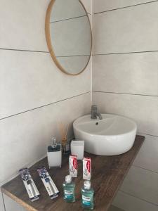 a bathroom with a sink and a mirror at Geräumige Ferienwohnung - ideal für Monteure in Förderstedt, Staßfurt in Staßfurt